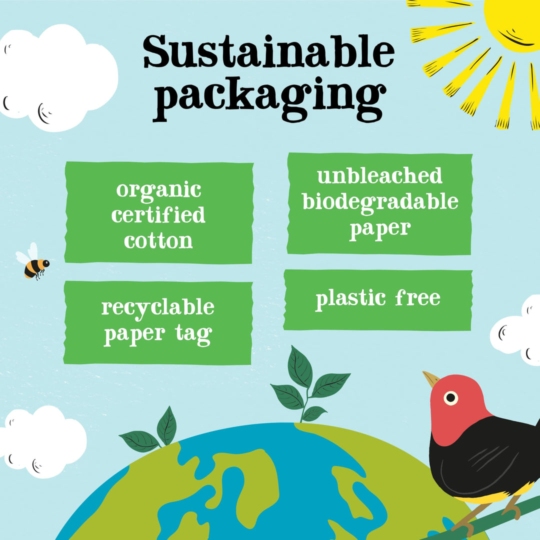 Clipper Organic Pure Green Tea Bags - 320 Bags (4 x 80) Bulk Pack, Fairtrade & Plastic-Free