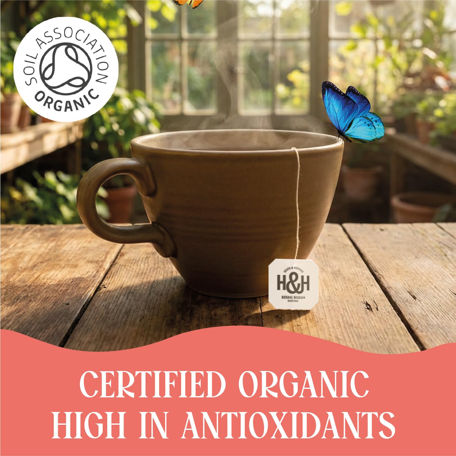 Heath & Heather Organic Apple & Cinnamon Herbal Tea - 20 Count Teabags | Supports Digestion & Relaxation 5