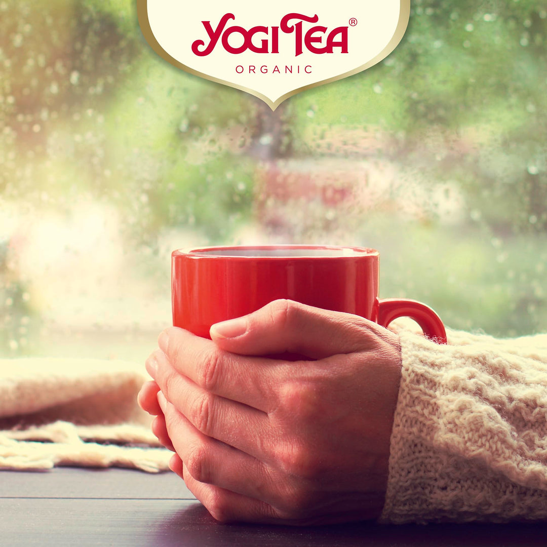 YOGI TEA - Christmas Advent Calendar with 24 Selected Teas for a Festive Advent Season