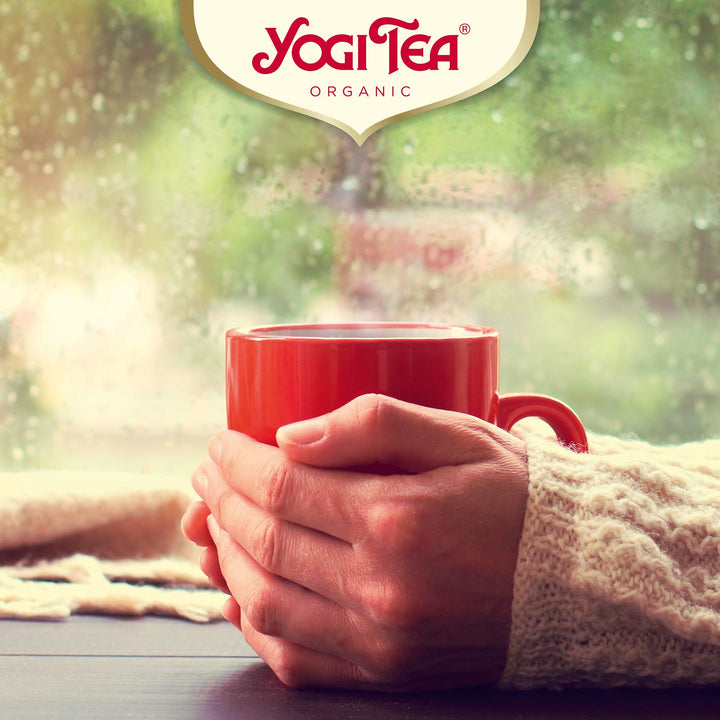 YOGI TEA - Christmas Advent Calendar with 24 Selected Teas for a Festive Advent Season
