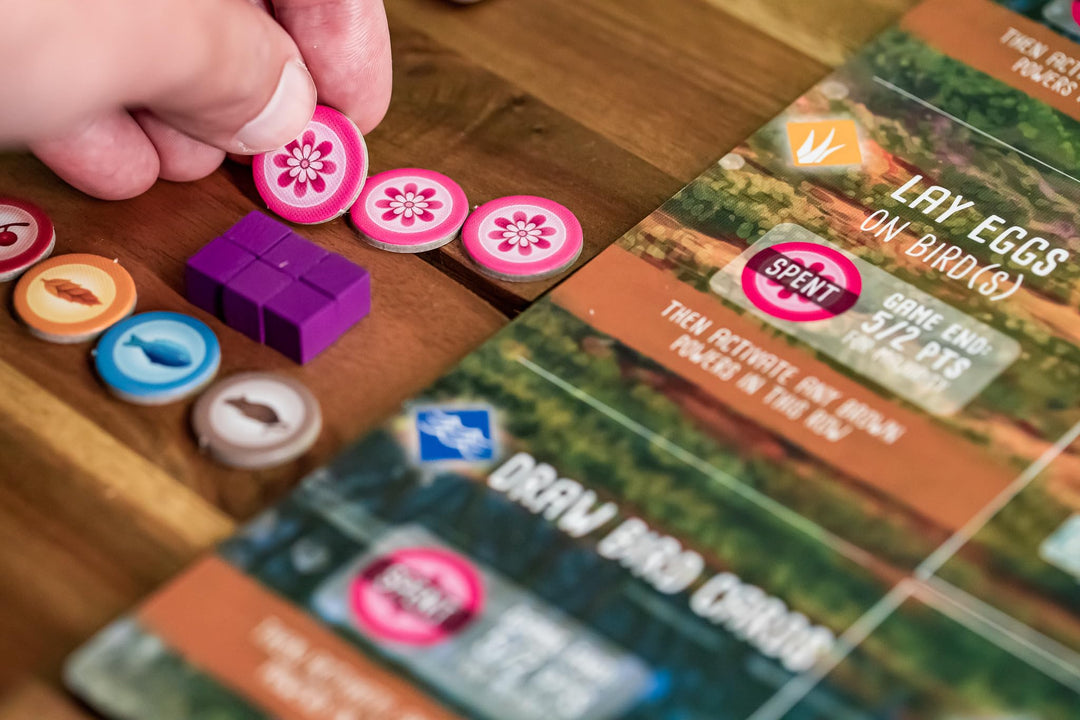 Stonemaier Games Wingspan: Oceania Expansion Board Game