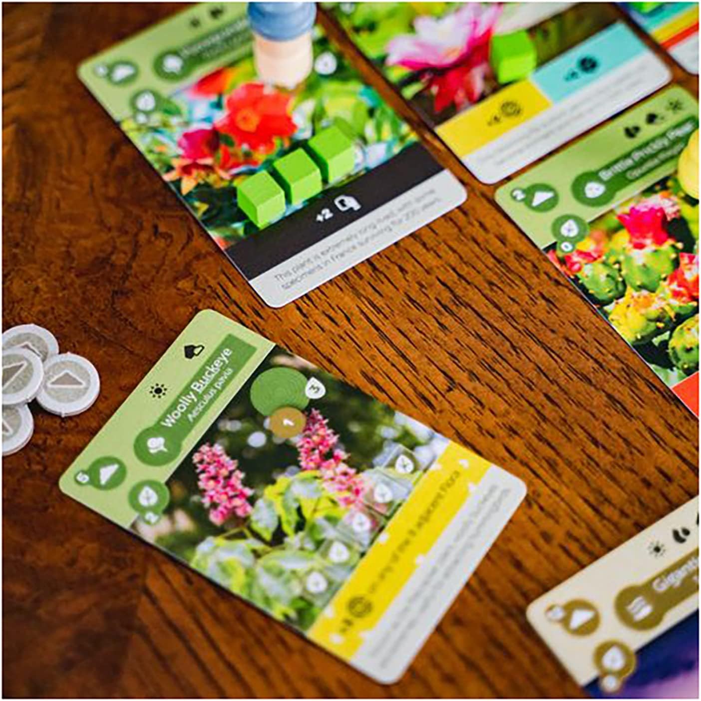 Inside Up Games Earth Board Game | Ages 14+ | 1-5 Players | 45-90 Minutes 10