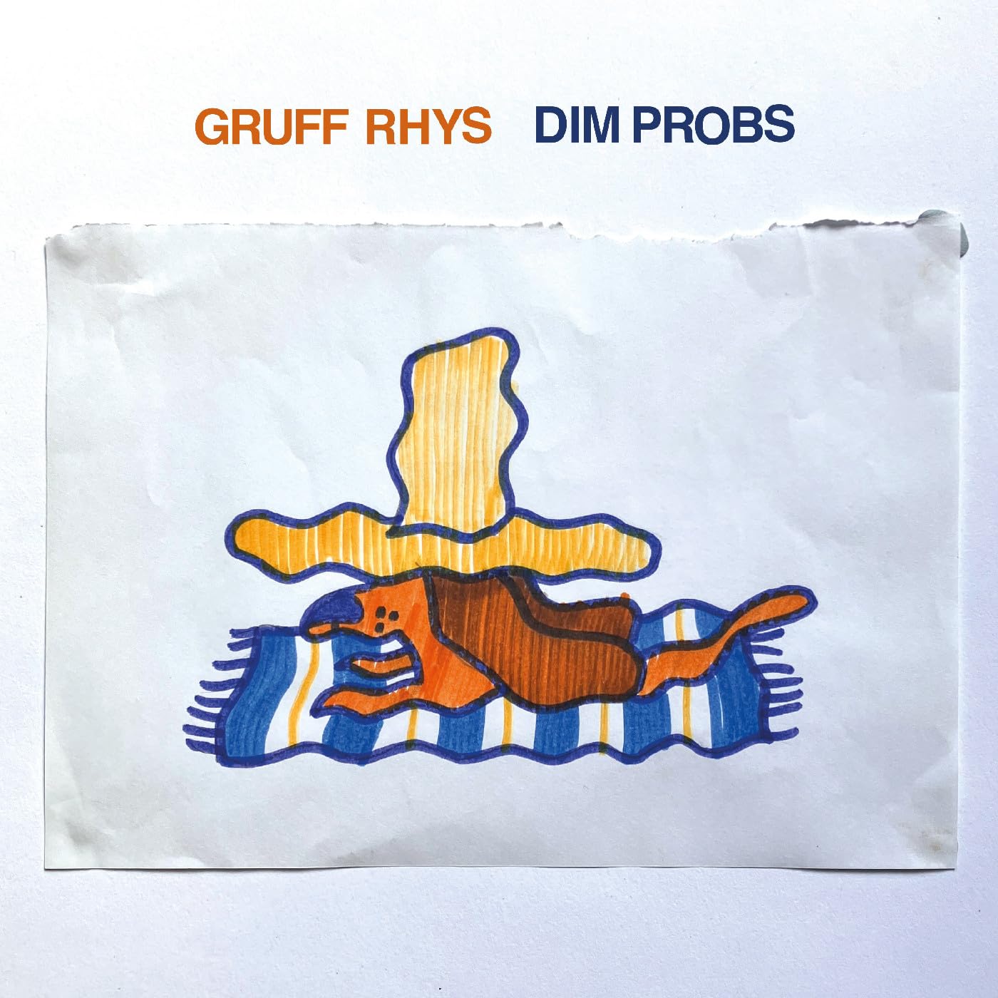 Gruff Rhys - Dim Probs [Audio CD] 2