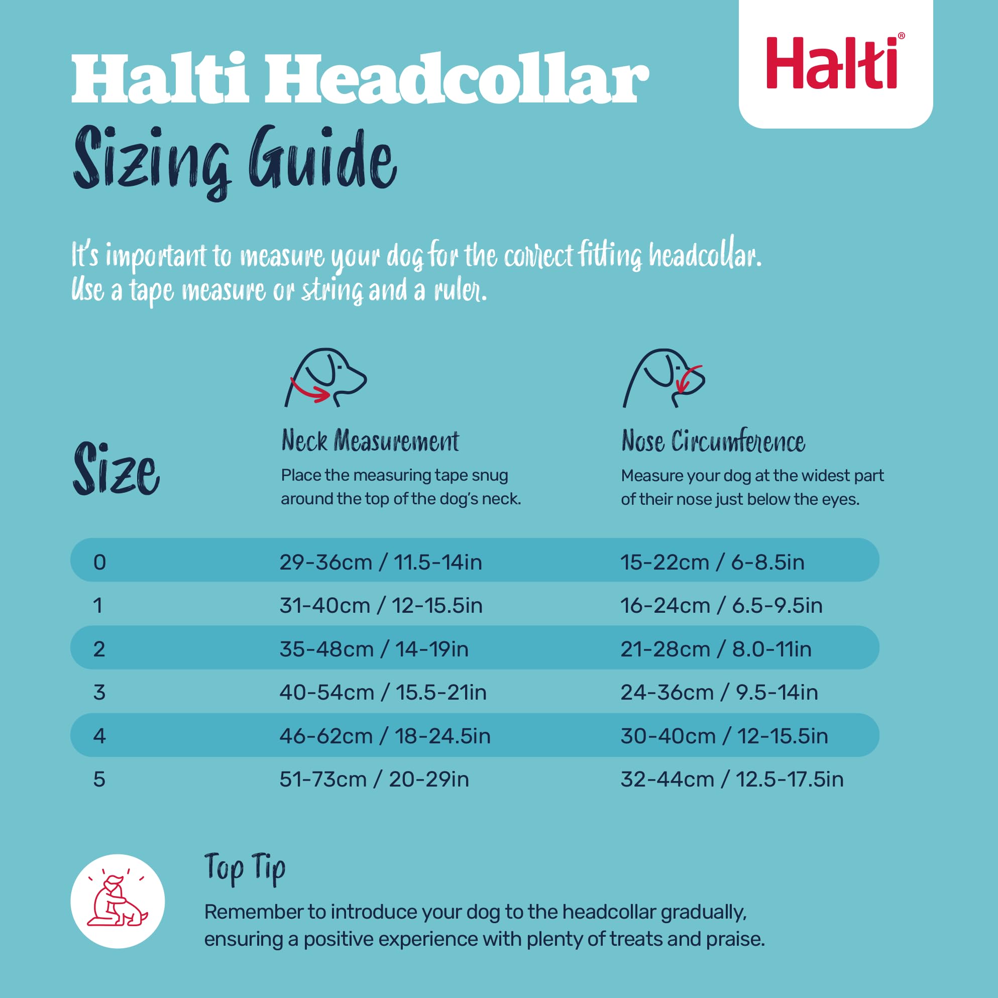 Halti Headcollar - Stops Pulling | Reflective Accents | Size 3, Desert Sand 5