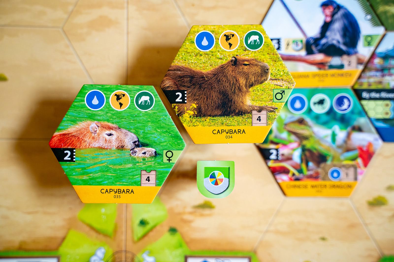 Capstone Games Sanctuary Board Game | 1-5 Players | Ages 12+ | Standard Edition 4