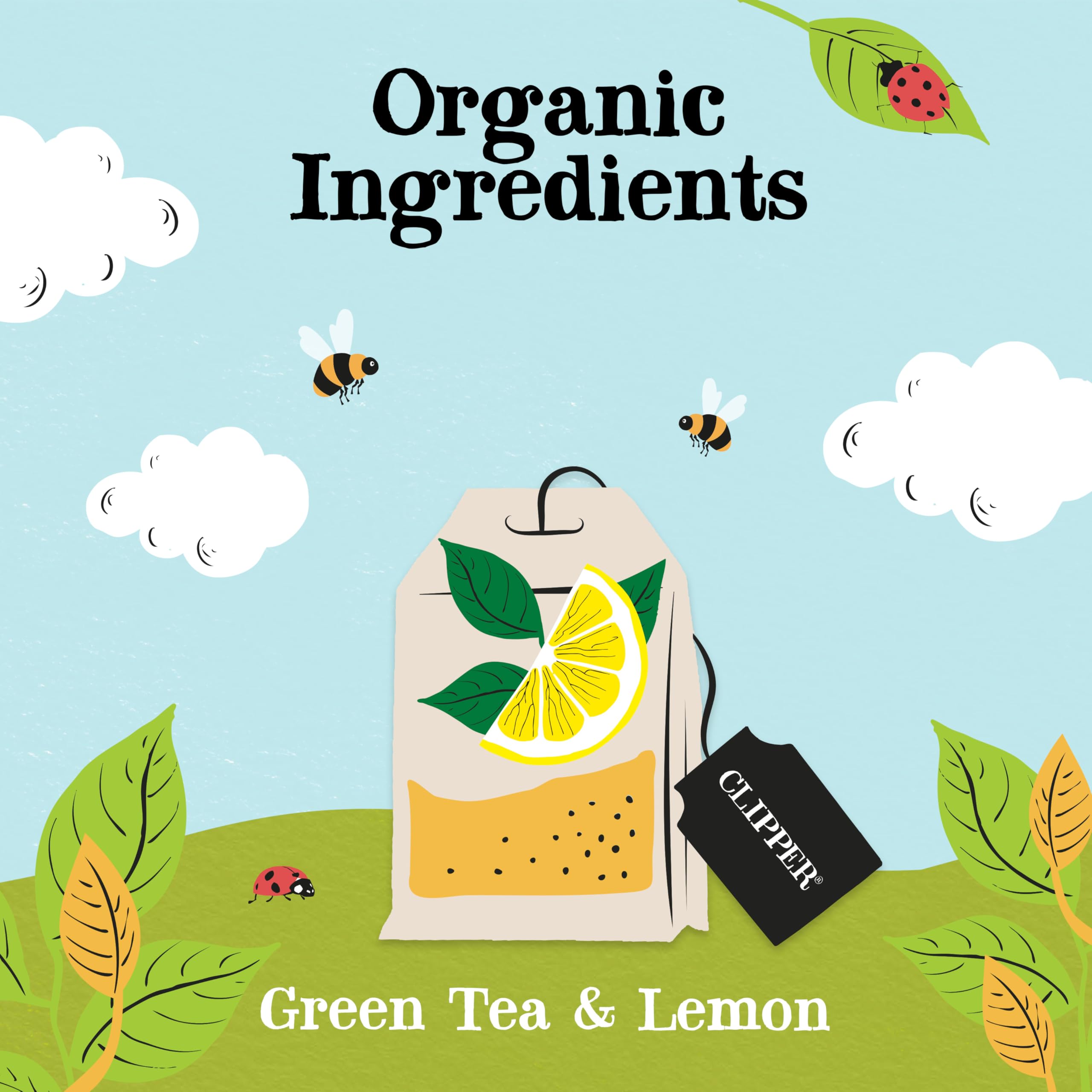 Clipper Natural, Fair & Delicious Organic Lemon Green Tea Teabags, 50 Count 3