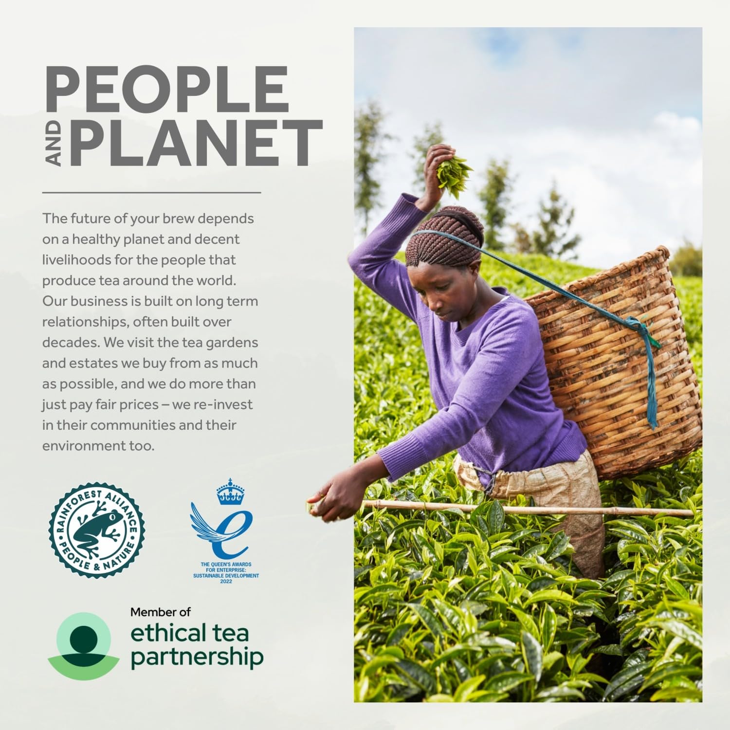 Yorkshire Tea 480 Bags - Ethically Sourced Black Tea Blend 8