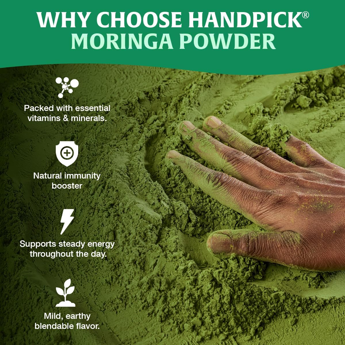 HANDPICK Moringa Powder - Pure Moringa Oleifera Leaves for Smoothies, Lattes & Tea | 500g Resealable Pouch 3