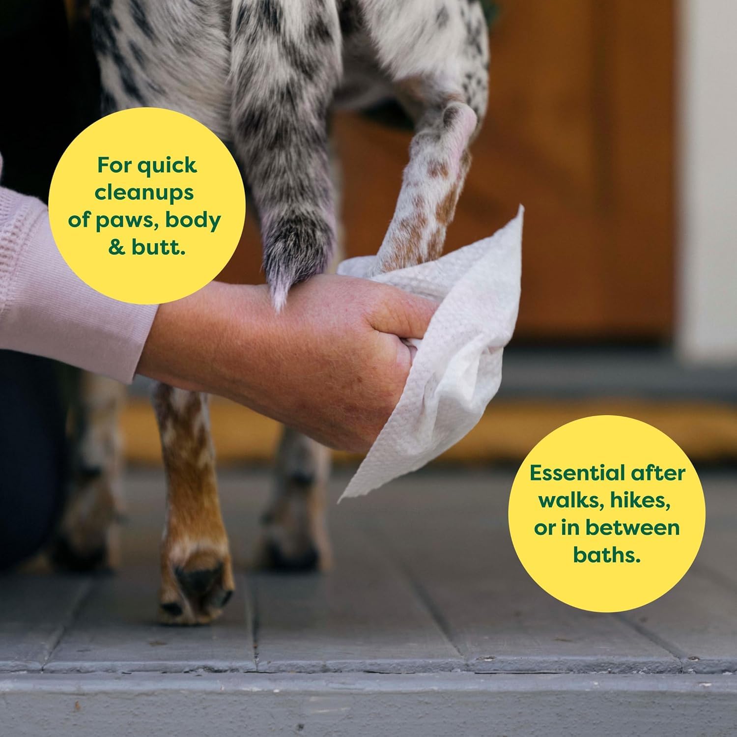 Earth Rated Hypoallergenic Pet Wipes for Dogs and Cats - Lavender Scent, 60 Count
