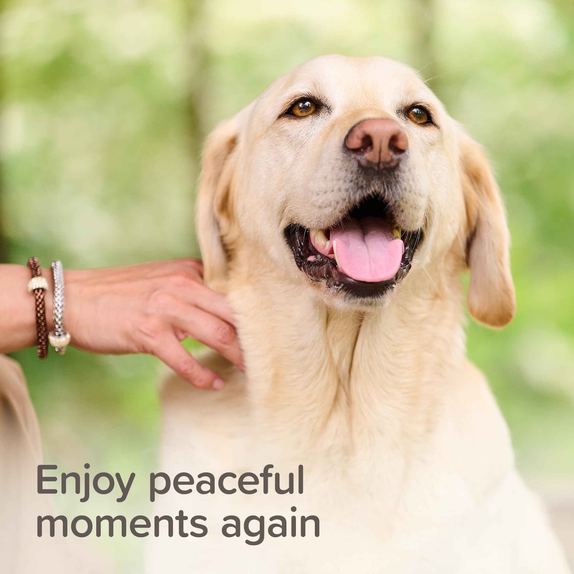 Beaphar StressLess Herbal Calming Collar for Dogs - Reduces Anxiety | Lasts 6 Weeks 7