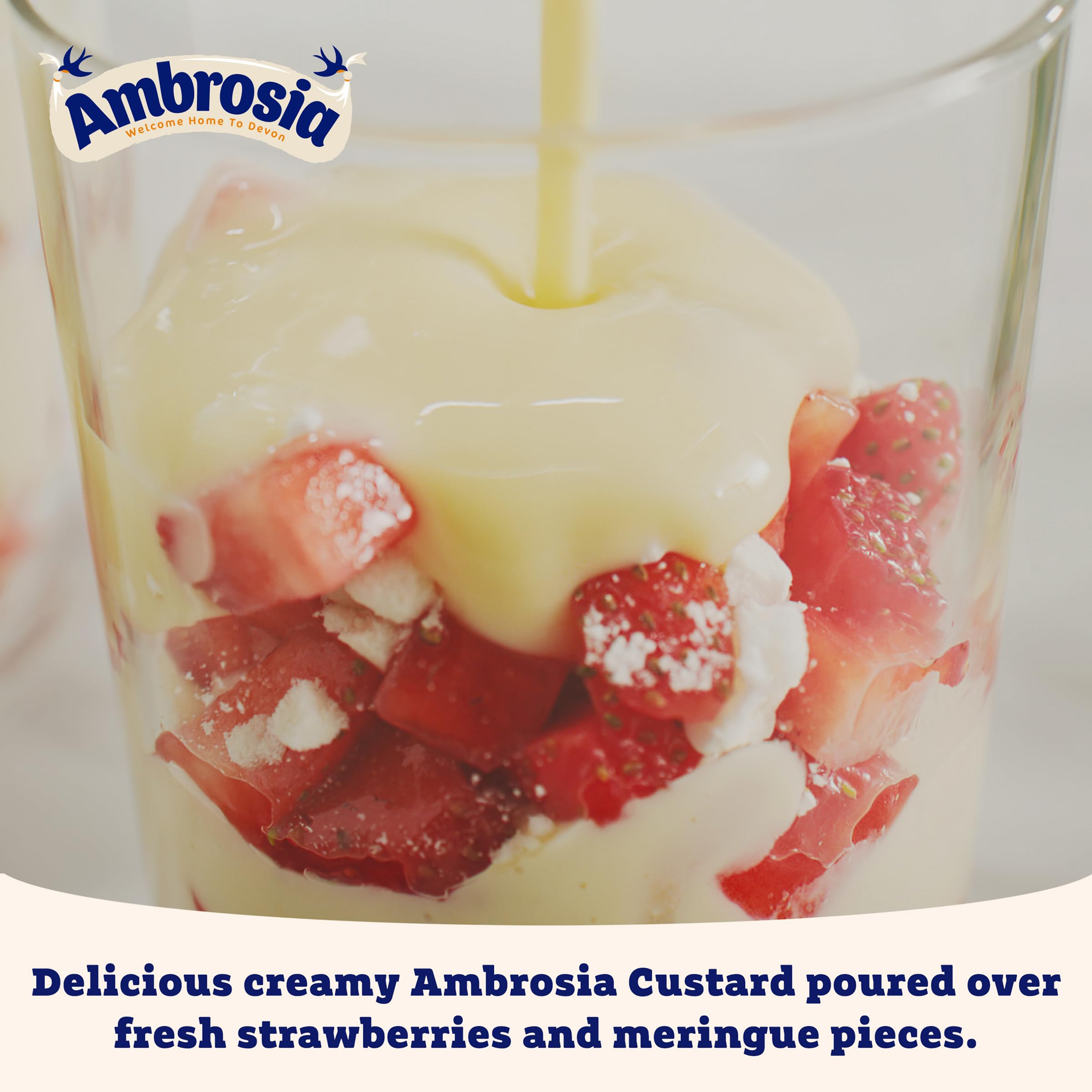 Ambrosia Devon Custard - Chocolate Flavour Ready-to-Eat Dessert Pot | 150g 4