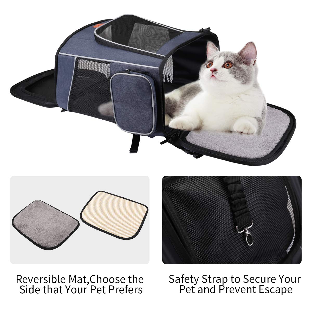 morpilot Pet Carrier Backpack - Airline Approved for Cats & Small Dogs up to 7 kg | Foldable 8