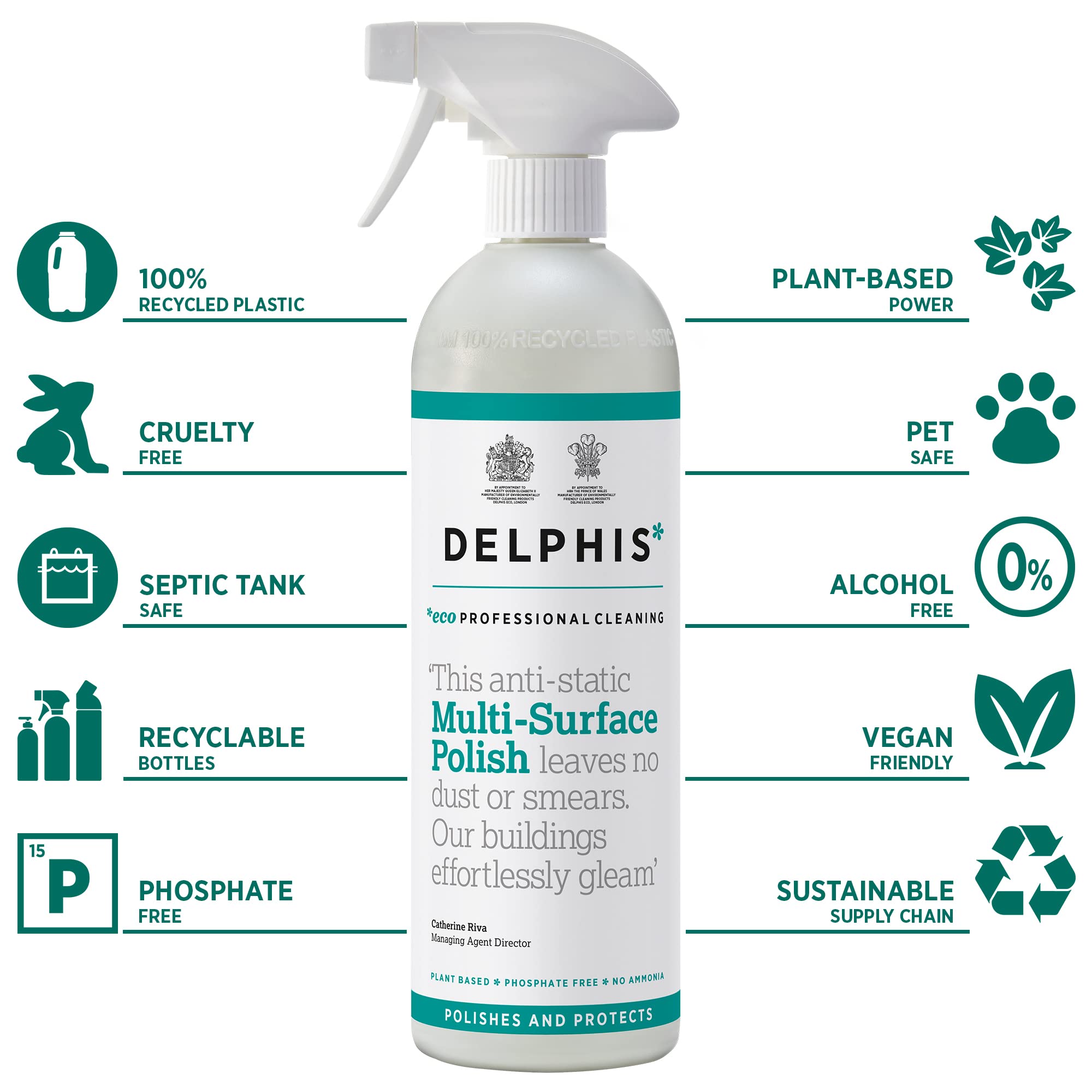 DELPHISECO Multi Surface Polish Spray - Anti Static & Streak Free | 700ml