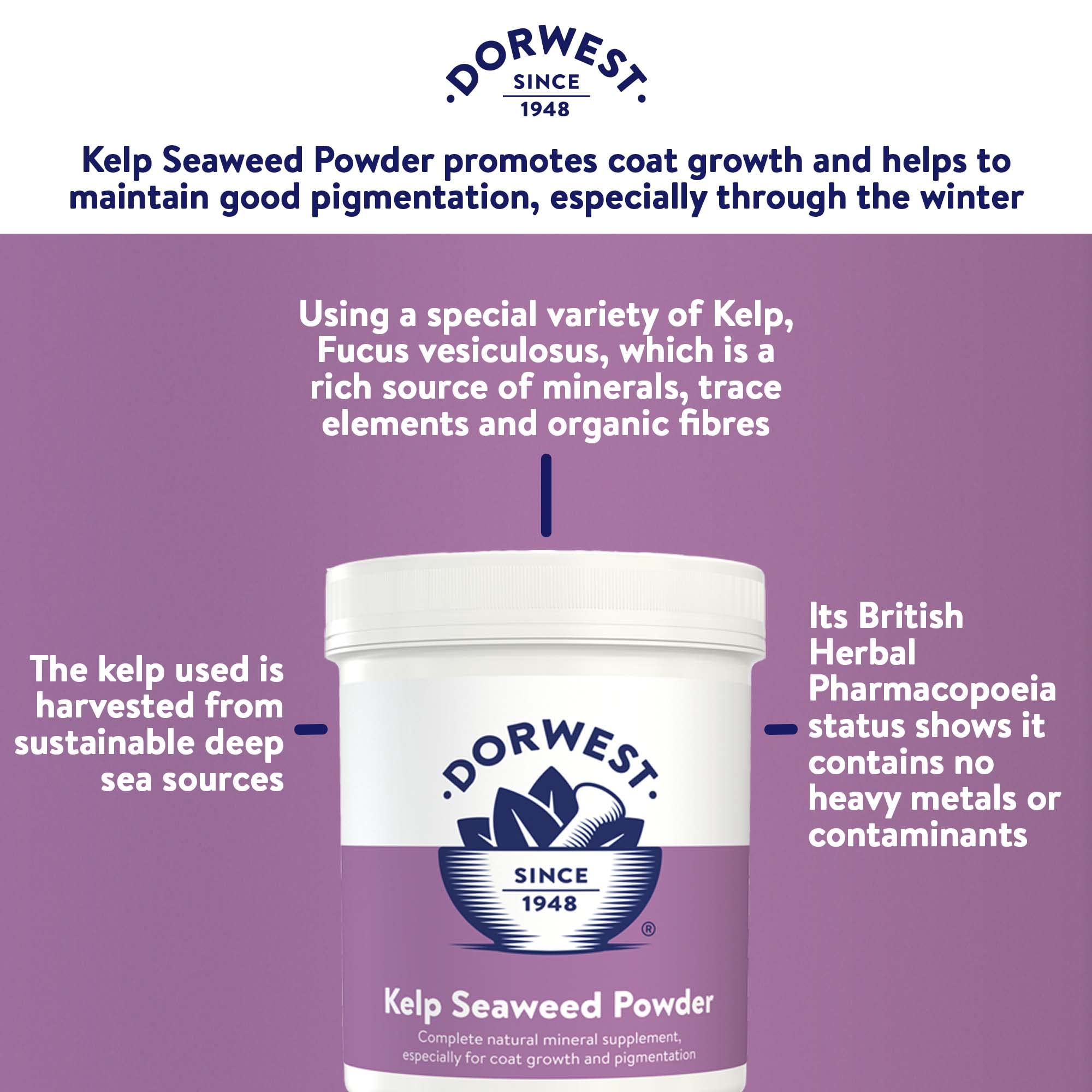 DORWEST HERBS Kelp Seaweed Powder for Dogs & Cats - Natural Multivitamin for Coat Growth & Pigmentation | 250g 3