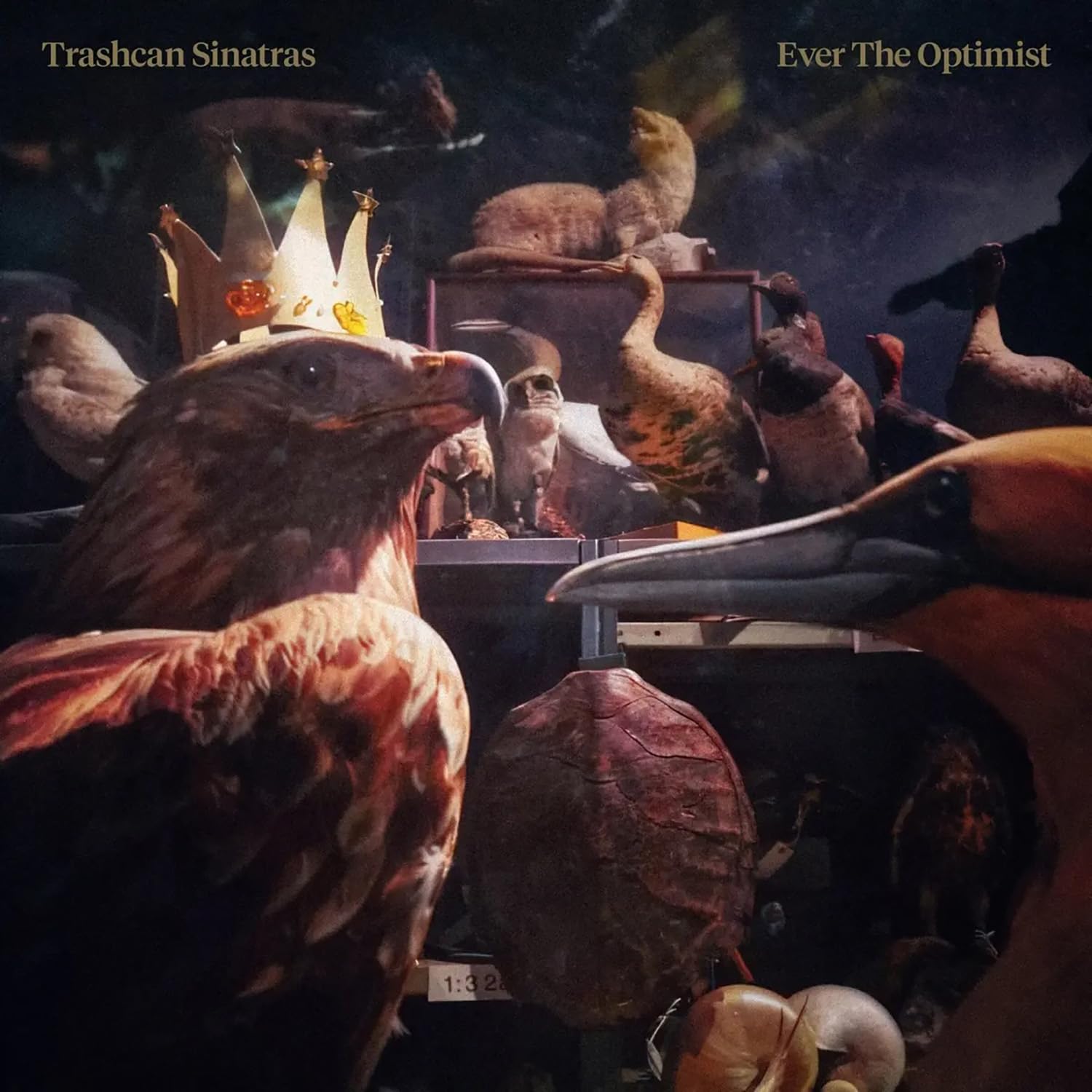 TRASHCAN SINATRAS - EVER THE OPTIMIST [Vinyl] 1