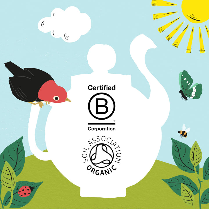 Clipper Organic Everyday Fairtrade Teabags | 80 Black Tea Bags | Unbleached, Biodegradable
