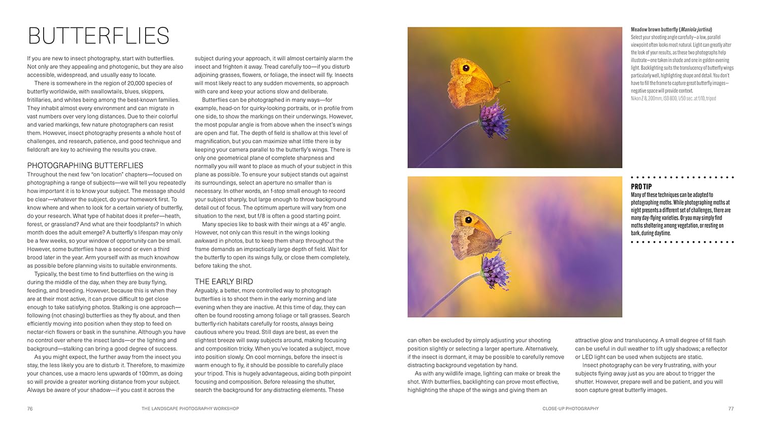 Ammonite Press The Wildlife Photography Workshop - Updated Edition | Paperback | English 6