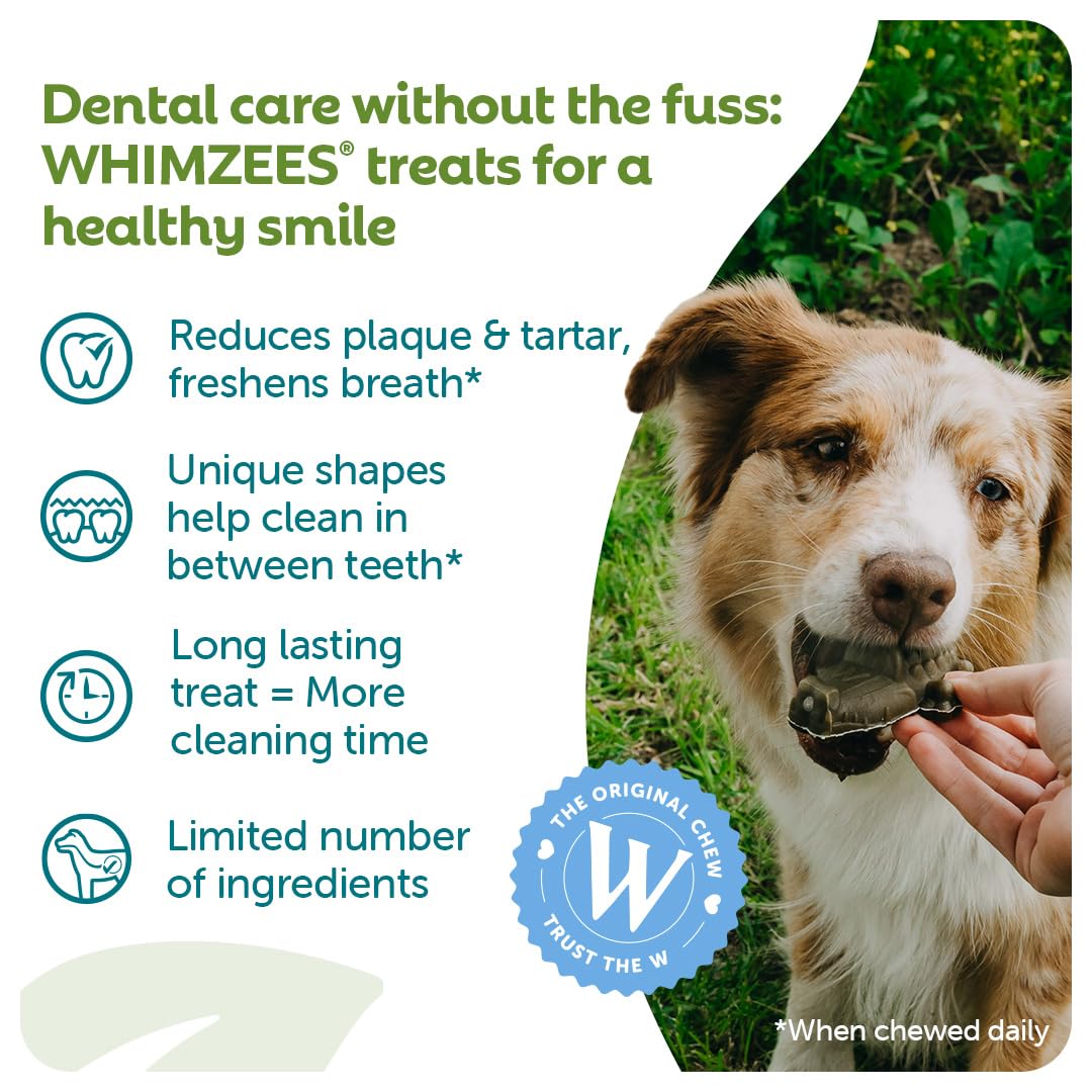 WHIMZEES Natural Dental Dog Chews - Large Alligator Shape | 6 Count | Prevents Plaque Up To 80% 2