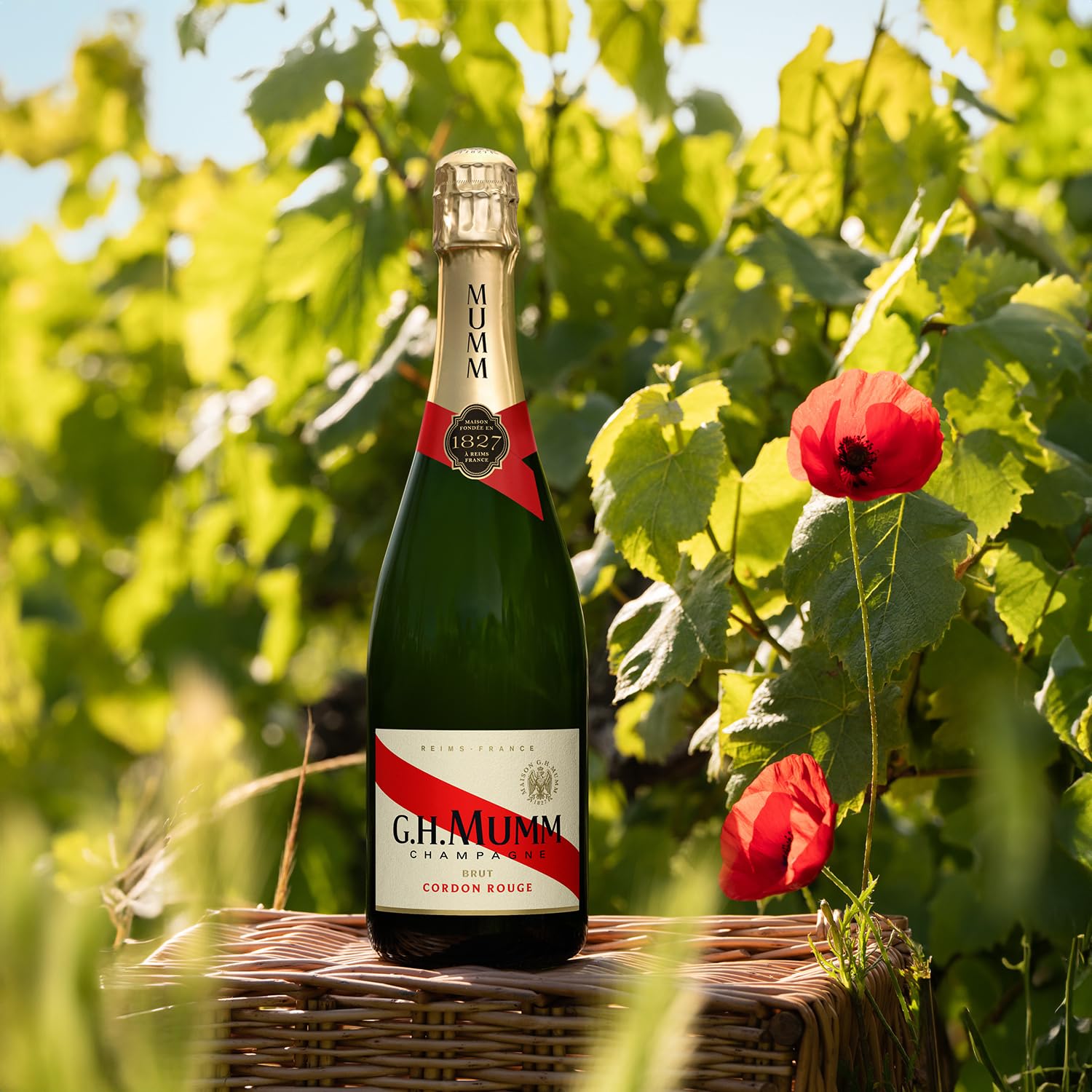 g.h. mumm Cordon Rouge Brut Champagne | 75 cl | France