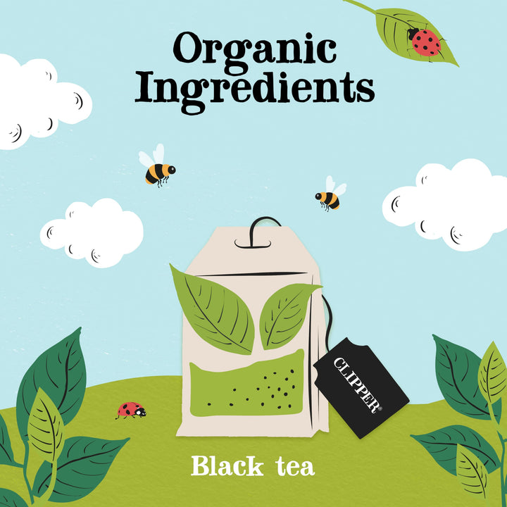 Clipper Organic Everyday Fairtrade Teabags | 80 Black Tea Bags | Unbleached, Biodegradable