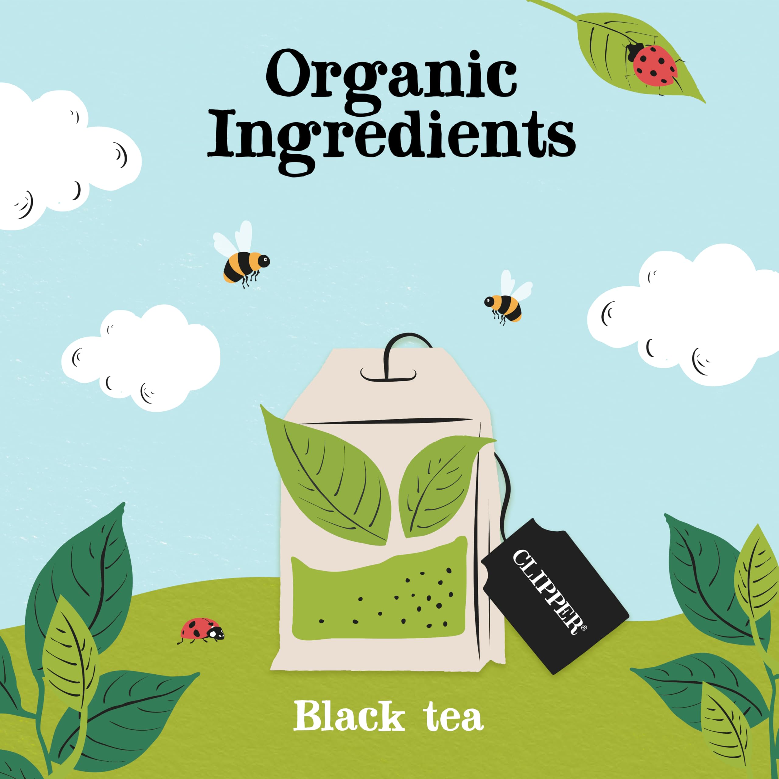 Clipper Natural, Fair & Delicious Organic Everyday Black Tea - 320 Teabags (4 x 80 Count) 3