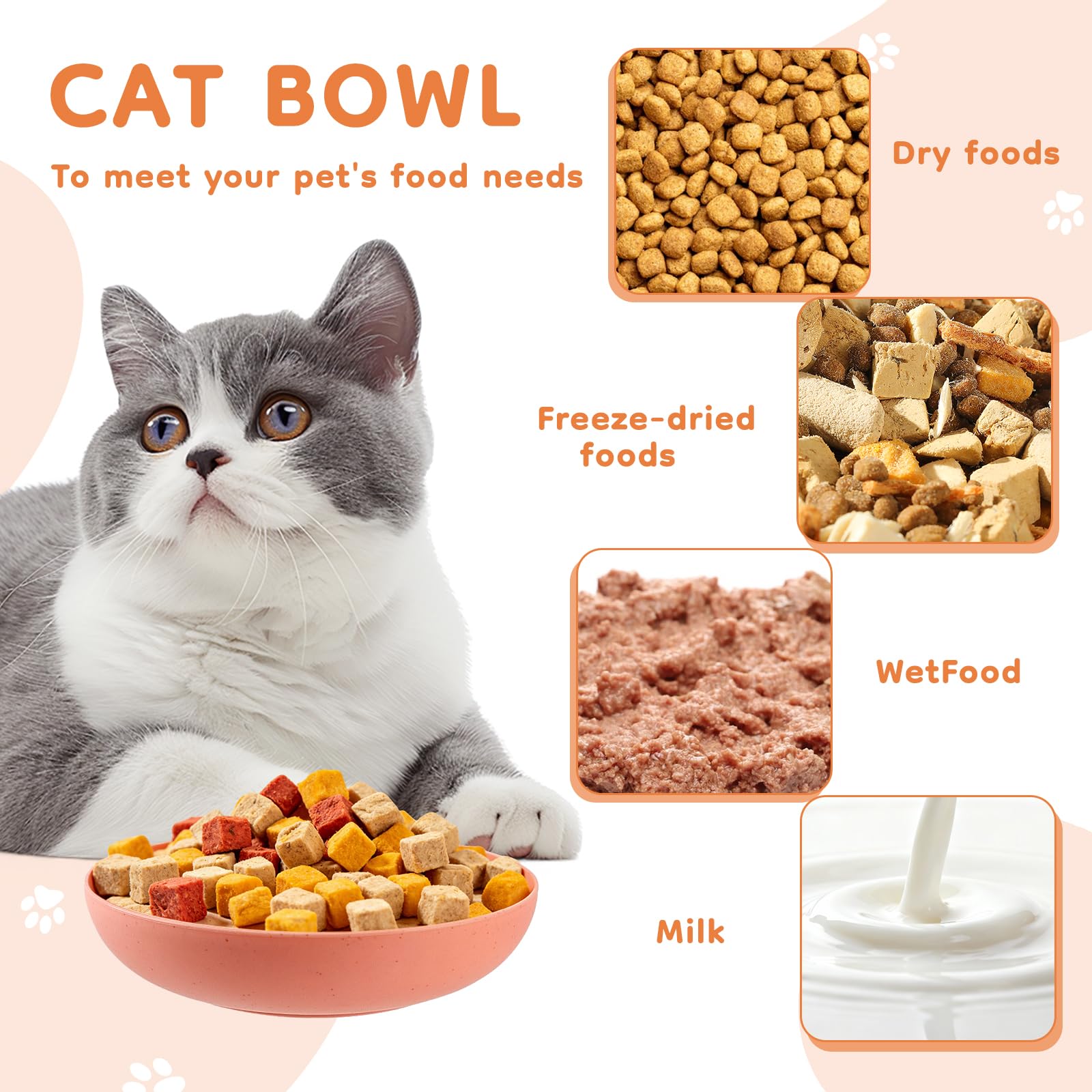 MOXYOY 5-Pack Cat Bowls - Whisker Friendly Shallow Design | Food Grade PP Material | Includes Storage Box 3