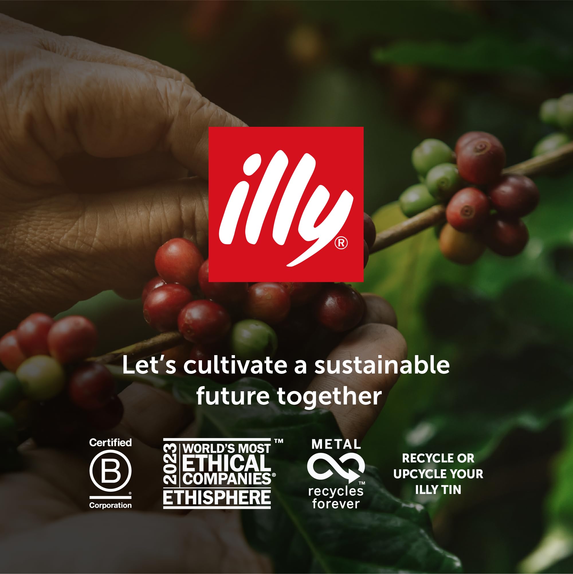 illy Intenso Whole Bean Coffee - 100% Arabica Dark Roast - 500g Refill Pouch 6