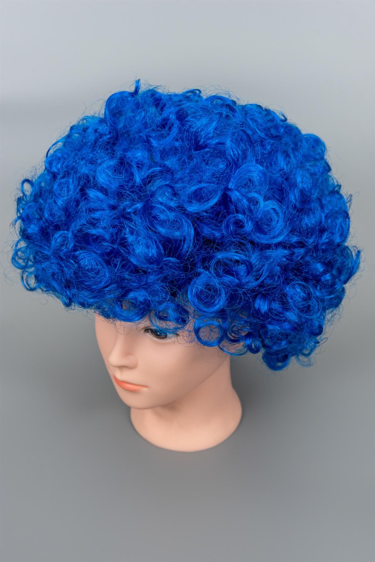 SHATCHI Blue Afro Wig Curly Bouncy Hair for Fancy Dress Party Costume Disco 60s 70s 80s Theme Unisex 12