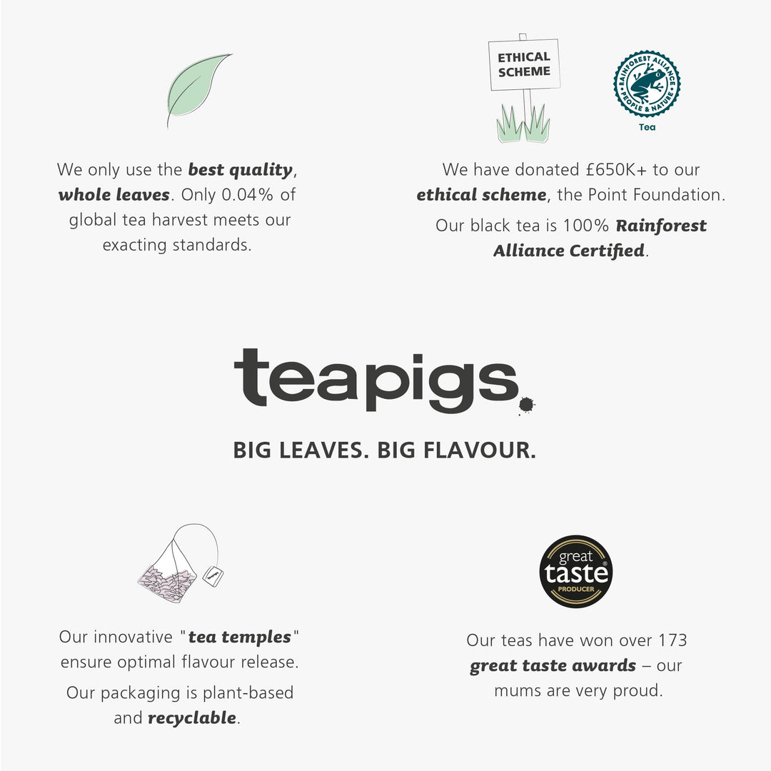 teapigs Ginger & Manuka Honey Tea - Caffeine-Free Herbal Tea Bags