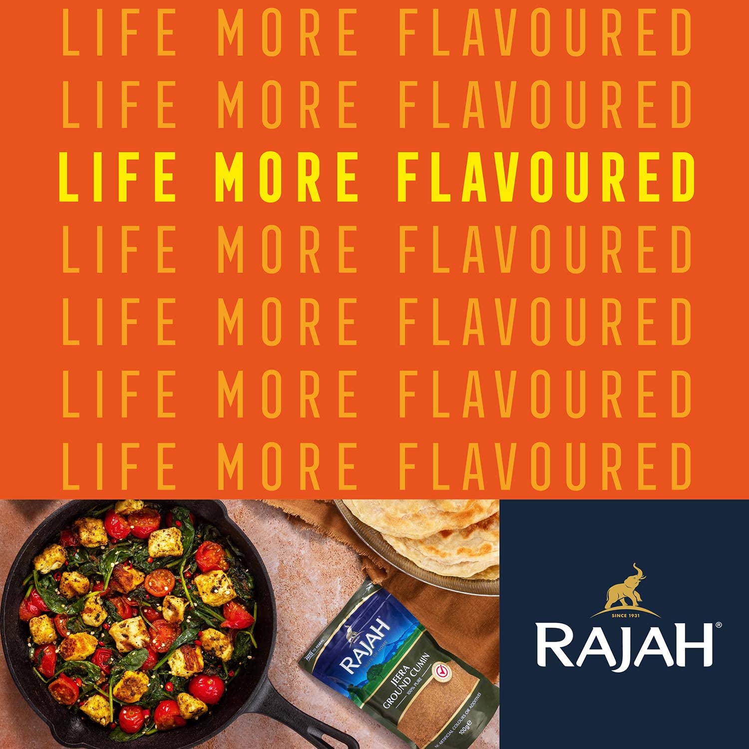 Rajah - Hot Madras Curry Powder 1KG 3