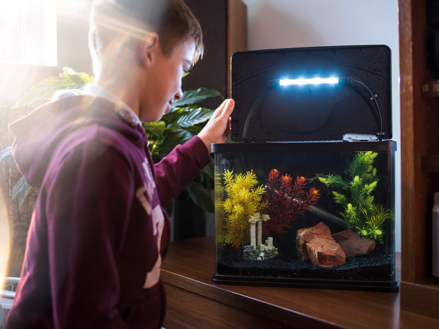 Interpet Deltatherm Aquarium Heater - 100W | Adjustable Temperature | Submersible 7