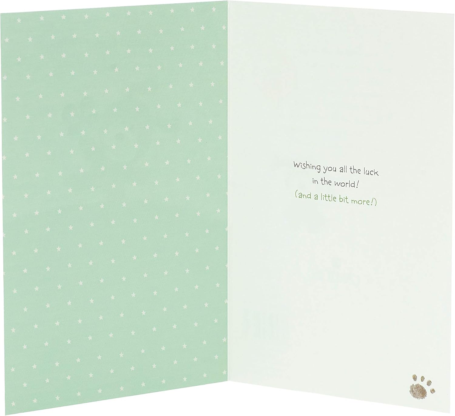 Good Luck Card - Cute Good Luck Card - 2