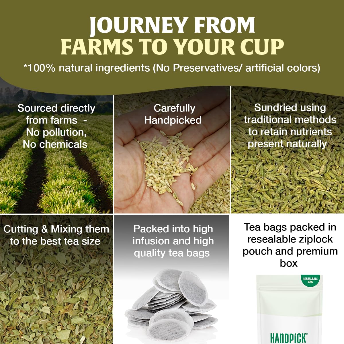 HANDPICK Fennel Tea (100 Eco Conscious Tea Bags) - Caffeine & Gluten Free 9