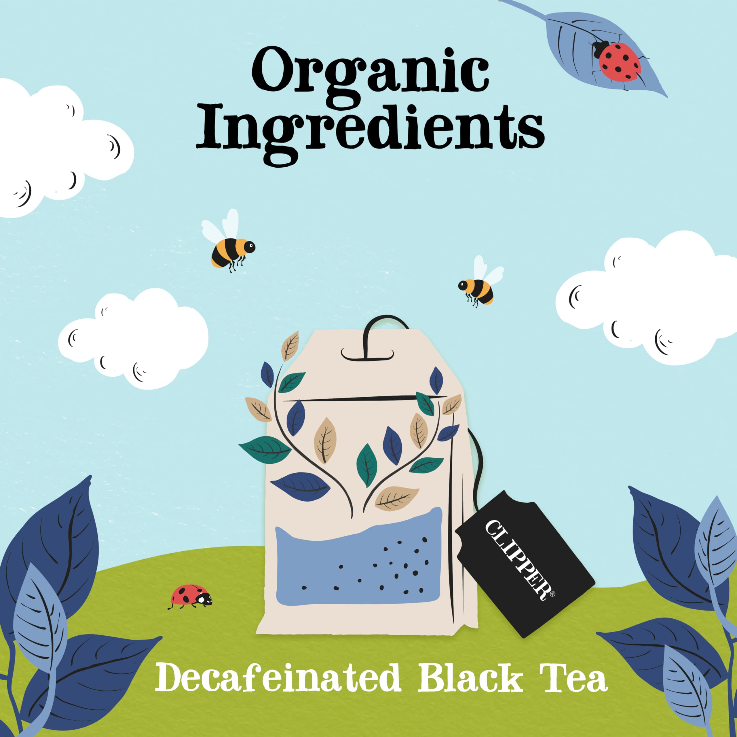 Clipper Natural, Fair & Delicious Organic Everyday Decaf Black Tea Bags - 250 Count, Naturally Decaffeinated 3