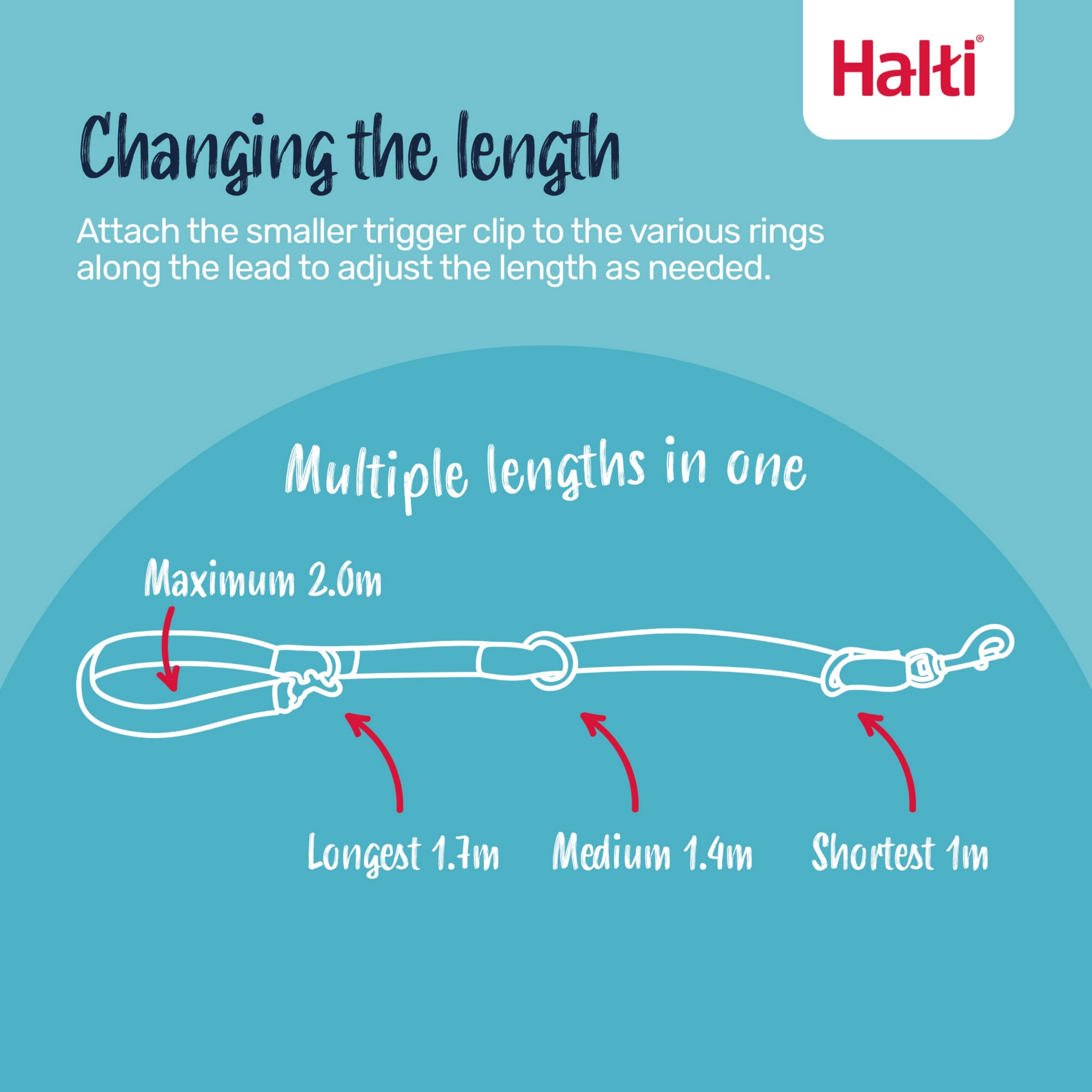 Halti Double Lead - Multifunctional Training Lead for Dogs | Size Small | Deep Walnut