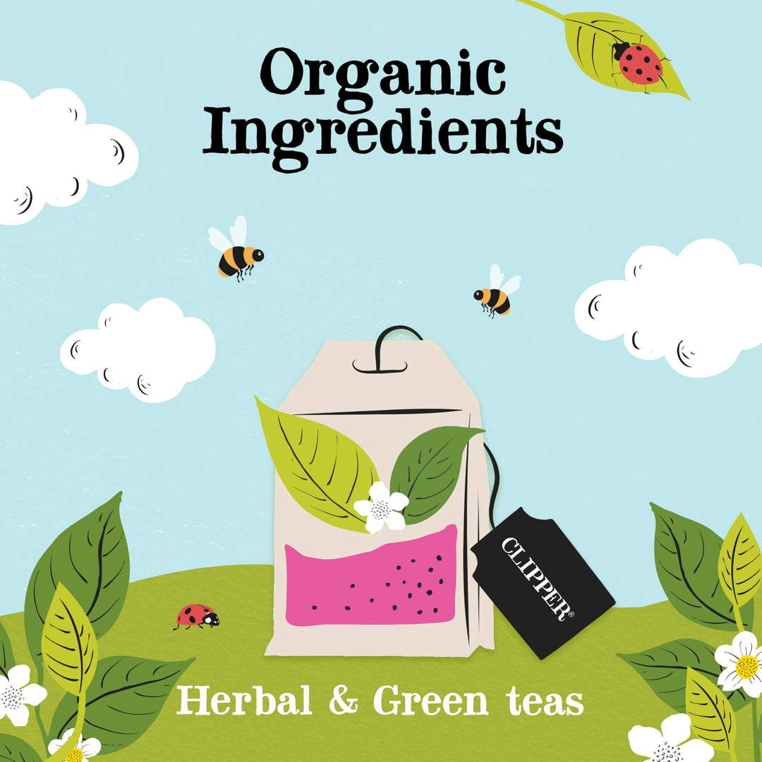 Clipper Organic Herbal & Green Tea Selection Gift Box - 45 Plastic-Free Tea Bags
