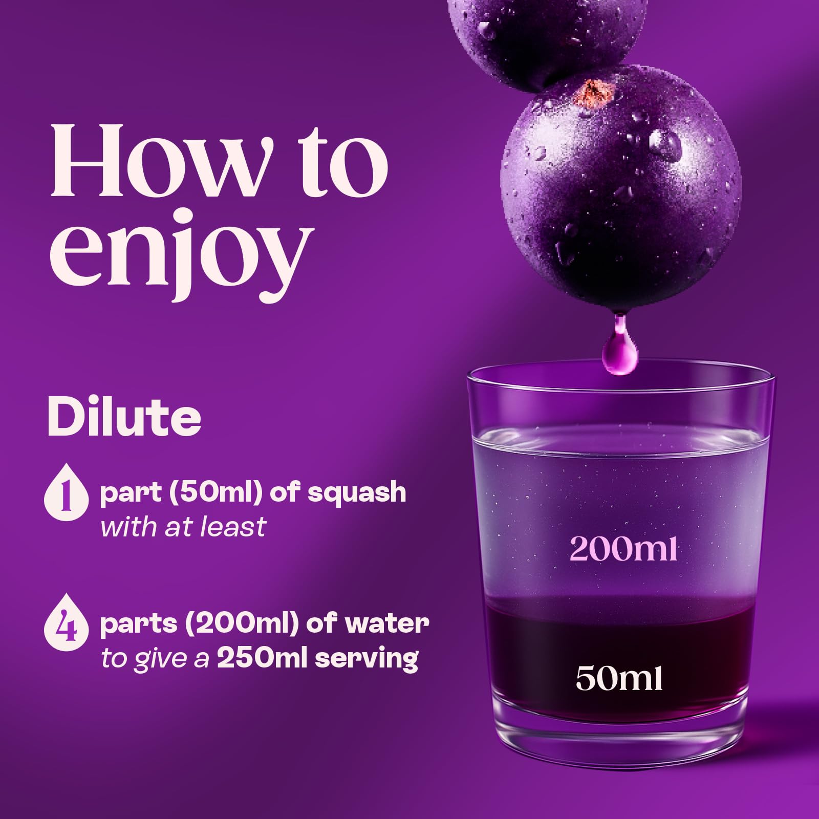 Ribena - Blackcurrant Squash No Added Sugar 1.5L 4