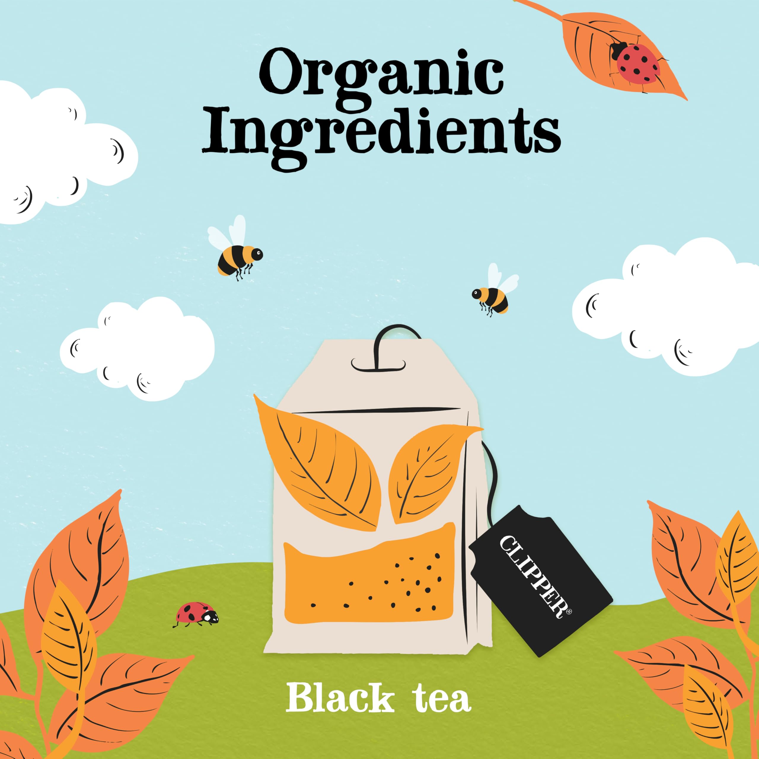 Clipper Fairtrade Everyday One Cup Teabags (440 Teabags) 13