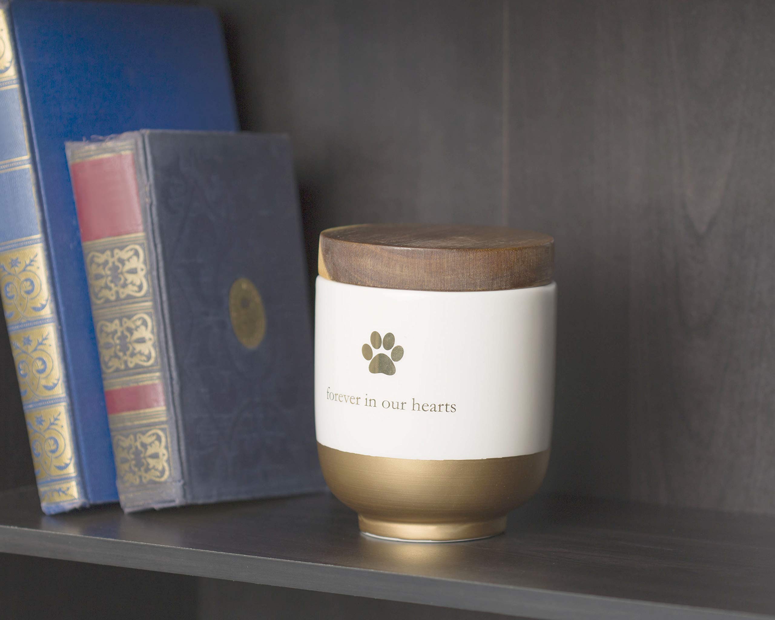 Pearhead Pet Ceramic Forever in Our Hearts Urn | Gold Accent | Fits Pets up to 45lbs 3