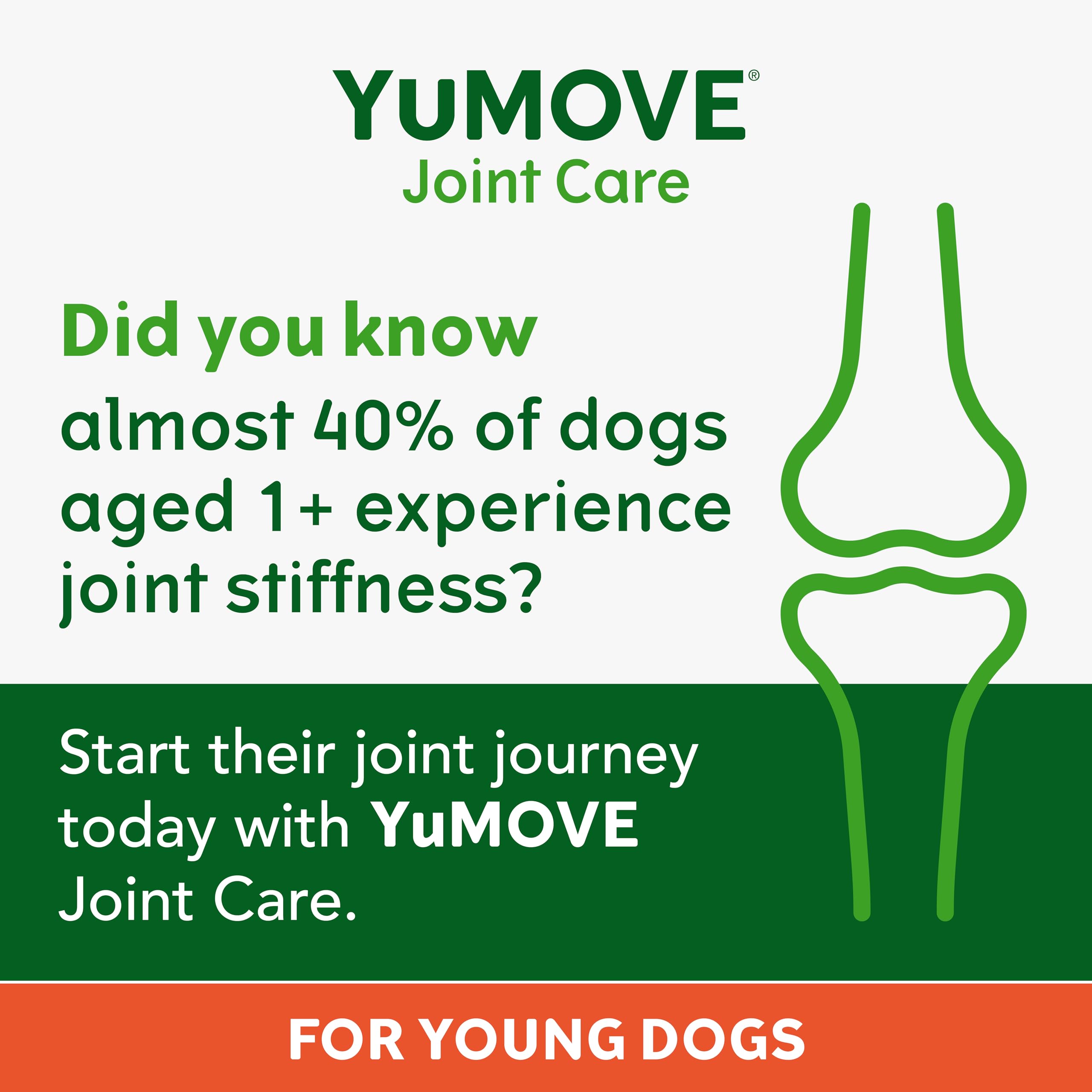 YuMOVE Joint Supplement for Young and Active Dogs - 240 Tablets for Preventative Joint Care 3