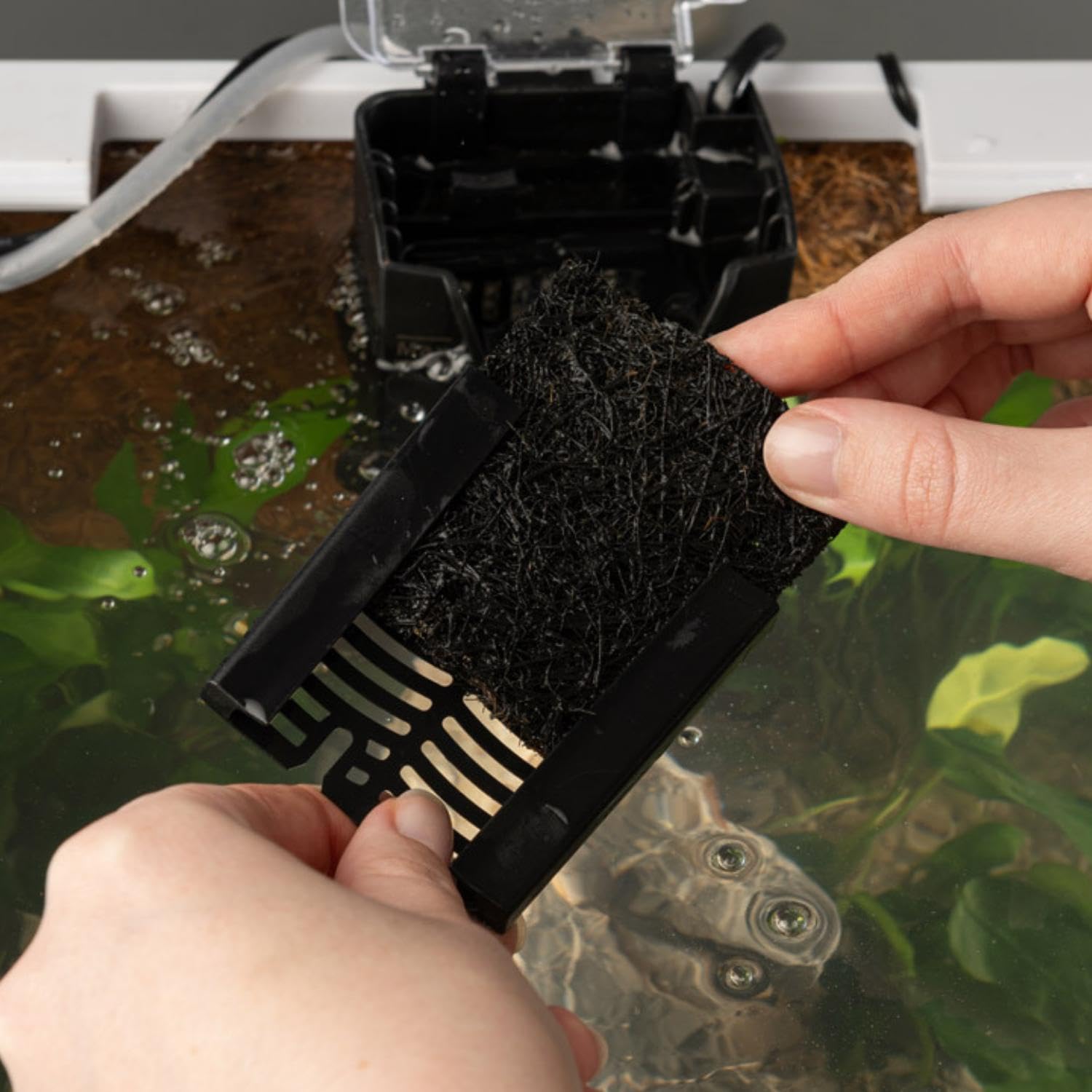 Interpet 3 Month Service Pack for CF Mini Filter | 3 Front & 3 Back Coir Tech Cartridges 3