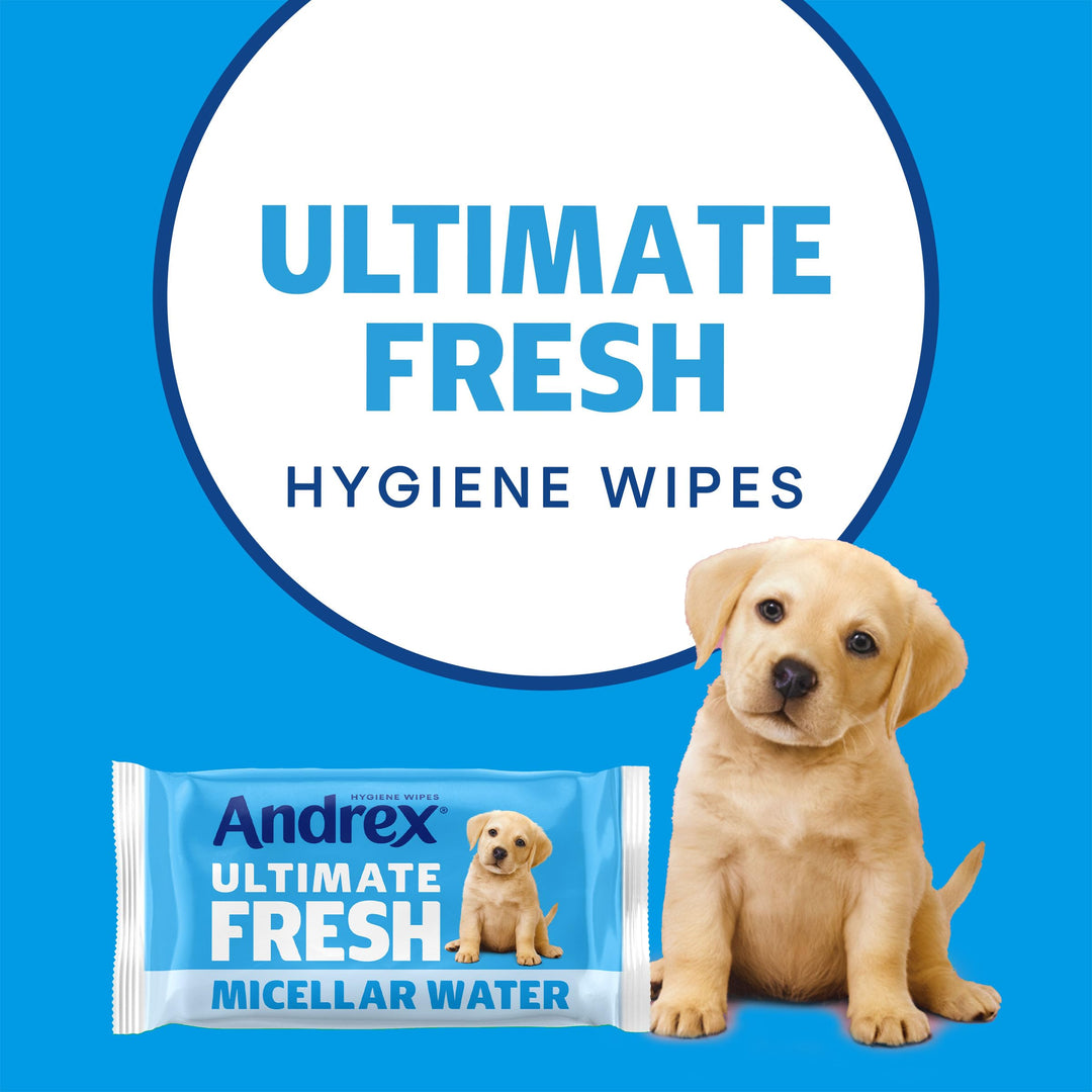 Andrex Ultimate Fresh Washlets - 4-Pack (36 Wipes per Pack), Biodegradable, Flushable, Dermatologically Tested Moist Toilet Tissues