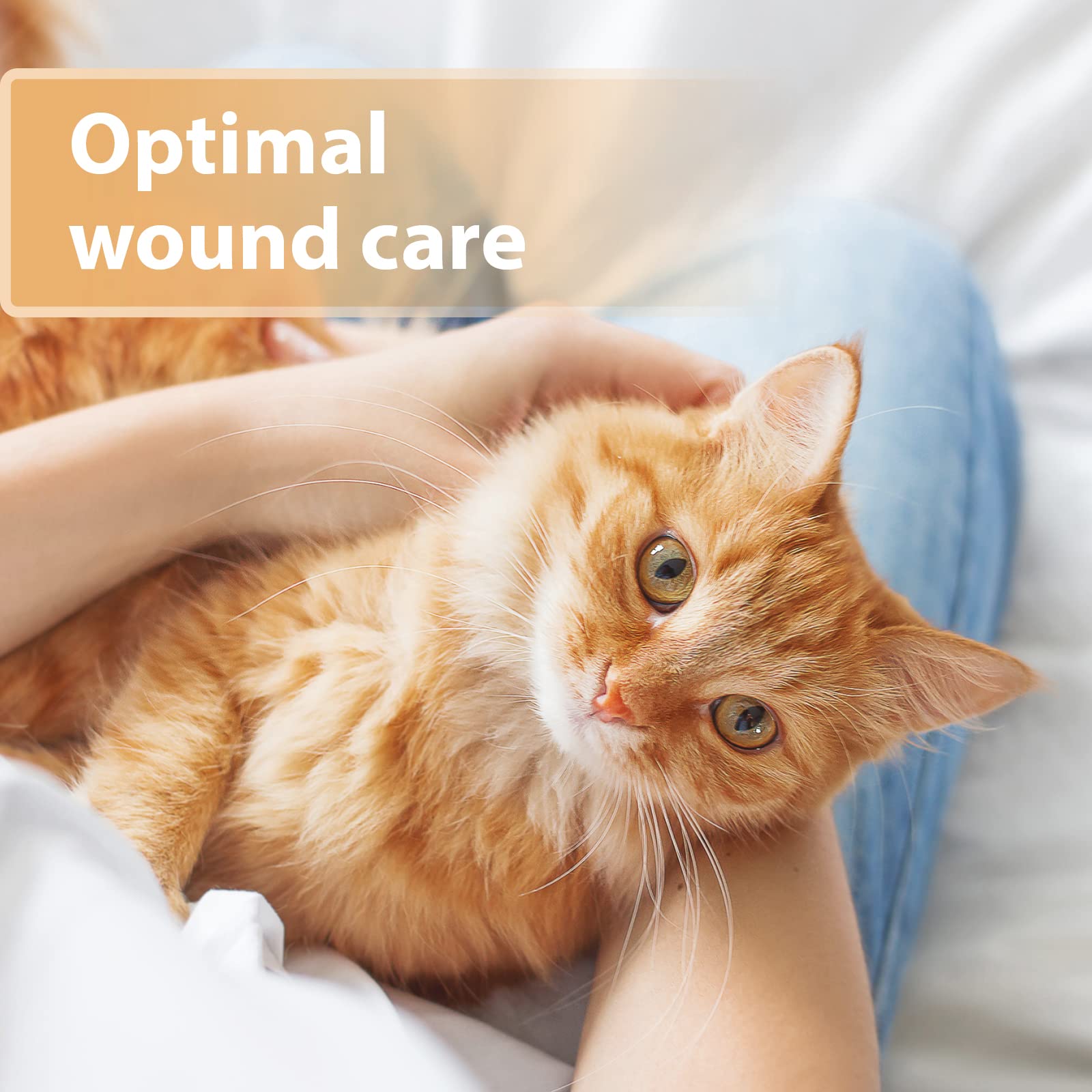 Felisept Wound Gel for Cats - Antiseptic Wound Care | 20ml | Painless Application