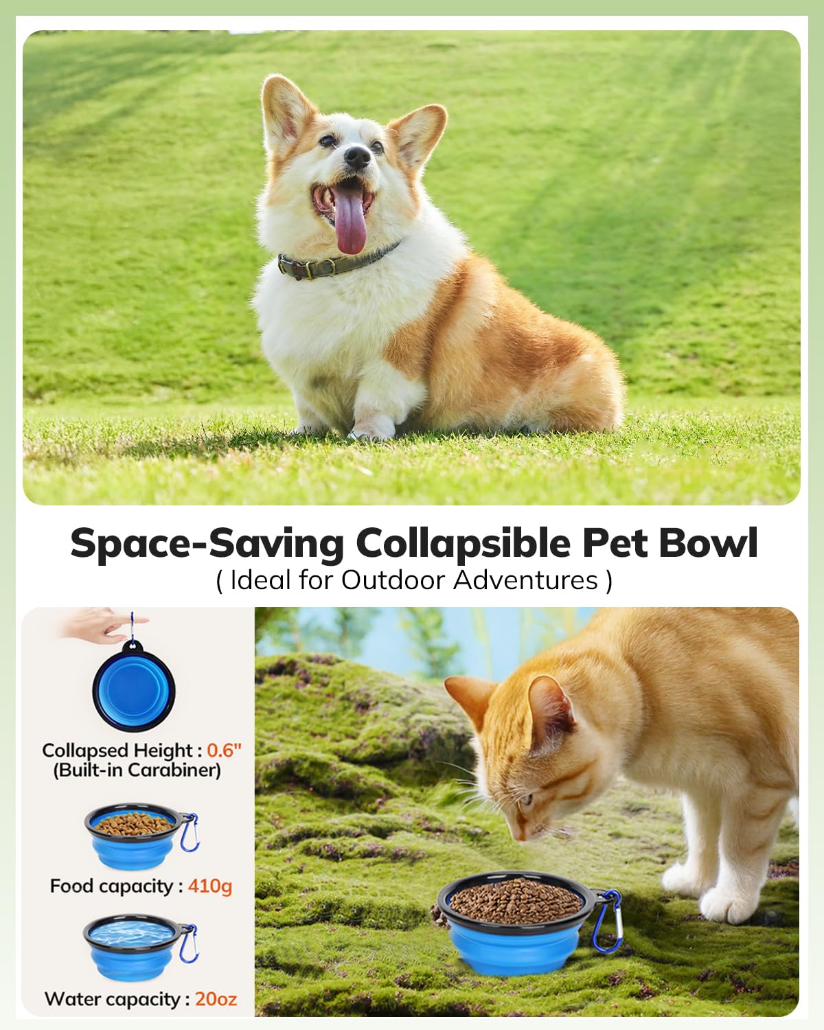 Morpilot Soft-Sided Pet Carrier for Cats and Puppies up to 7 kg | Airline Approved | 44cm L 6