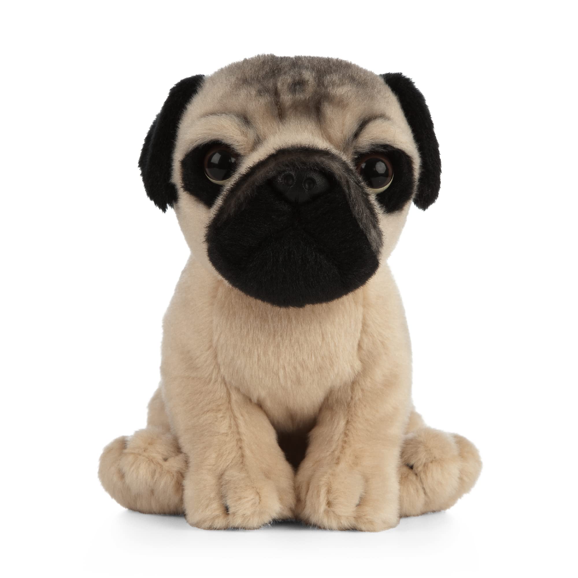 Keycraft Living Nature Pug Puppy Plush Toy - 16cm Tall | Eco-Friendly | Highly Detailed