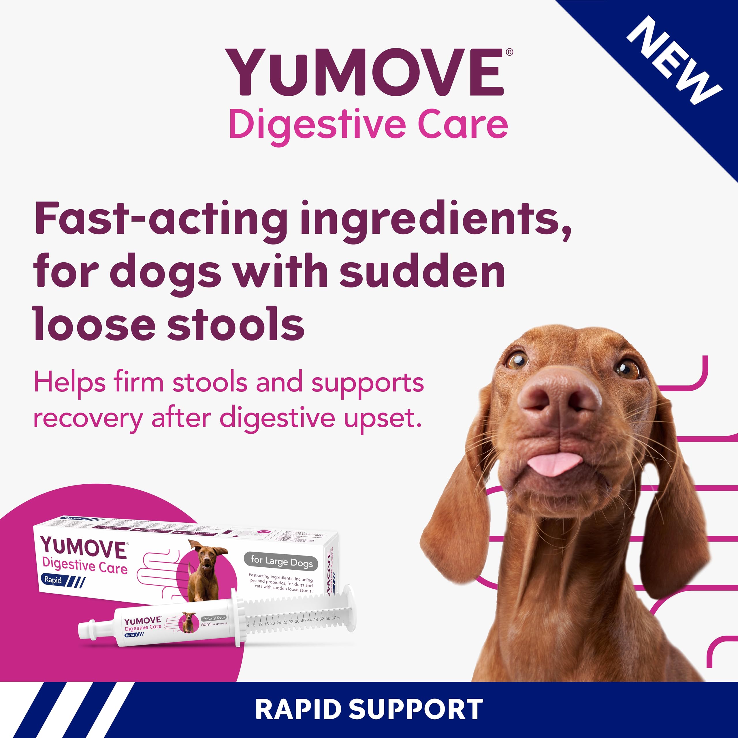 YuMOVE Digestive Care Rapid Dog Pre and Probiotic Paste for Gut Health | 2 Pack | 120ml Total