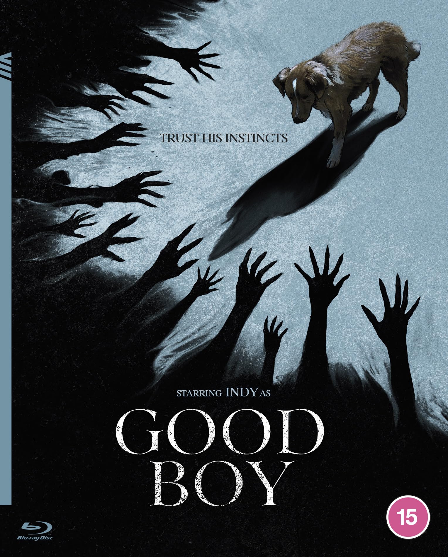 Good Boy [Blu-ray]