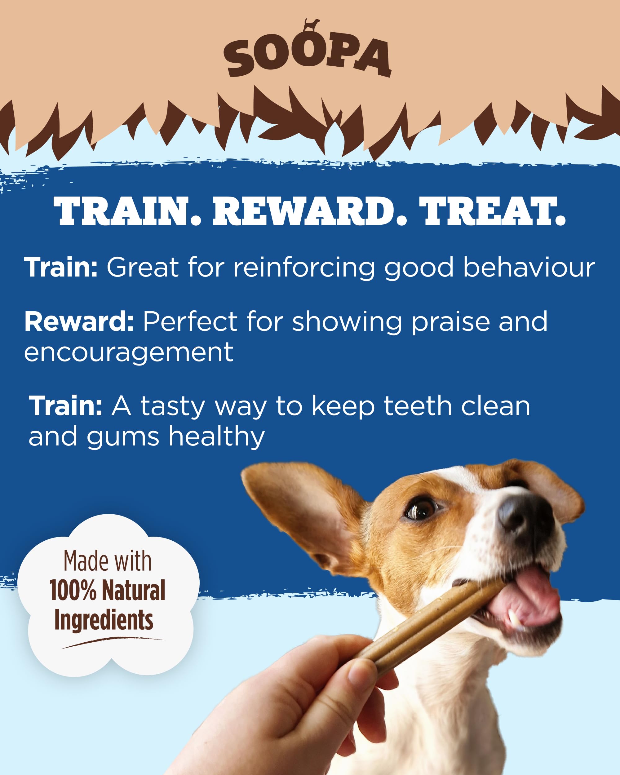 Soopa Banana & Pumpkin PUPPY Dental Sticks for All Life Stages | Low-Fat, Allergen-Free | 110g Bag 6