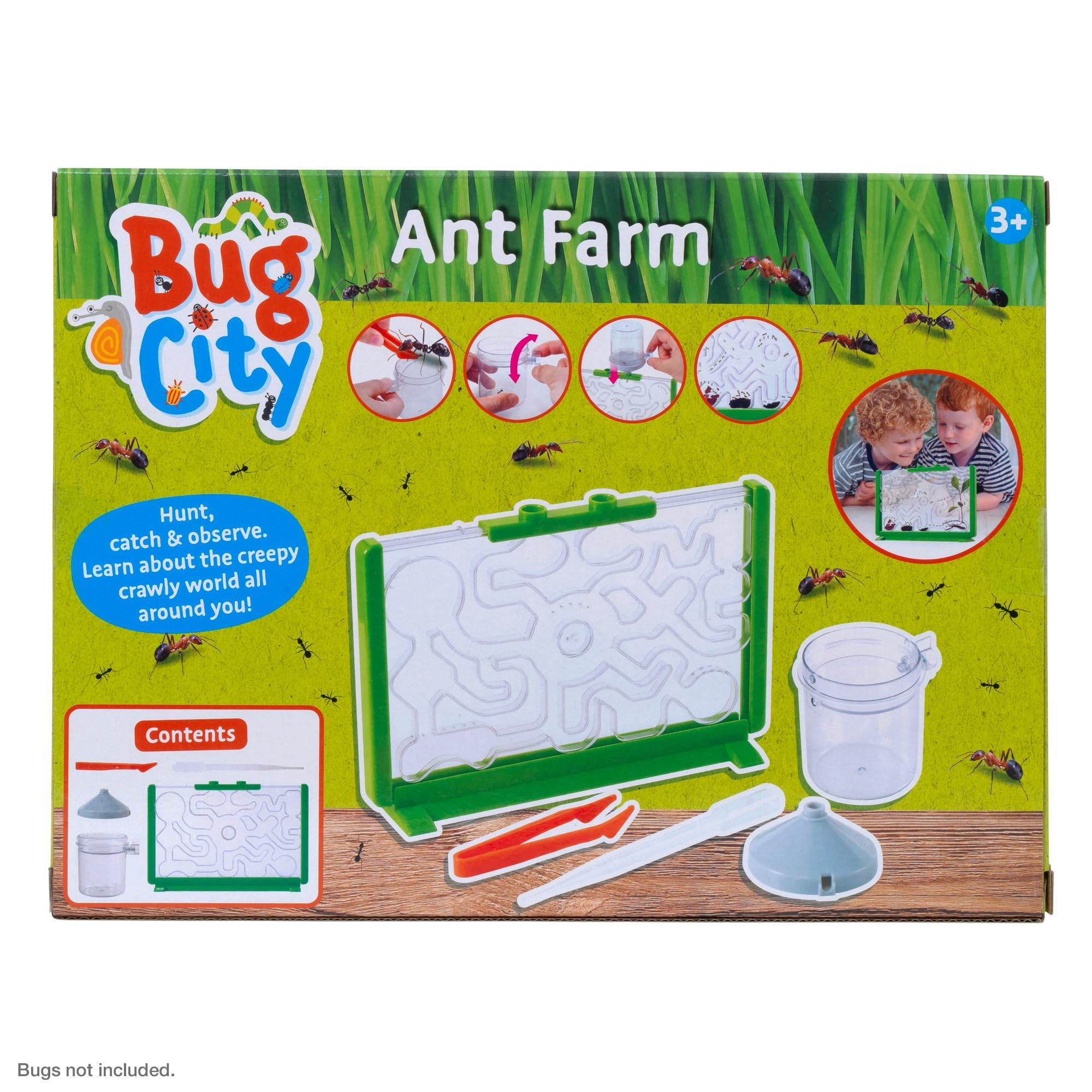 Peterkin Classics Bug City Ant Farm | Educational Science Kit | Unisex Children 6