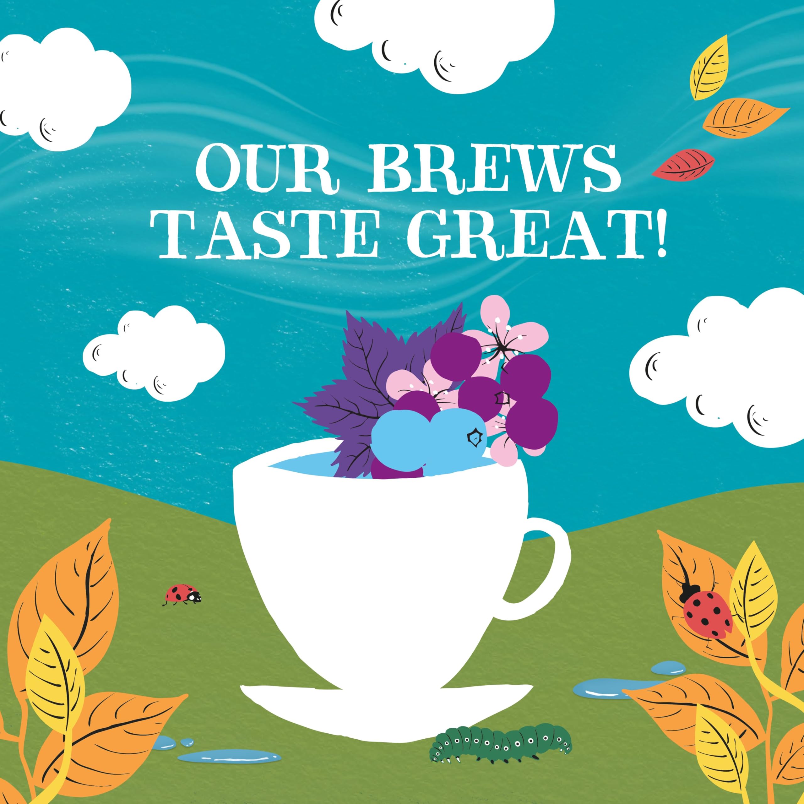 Clipper Organic Blackcurrant & Blueberry Infusion Fruit Teabags - 80 Unbleached Tea Bags 11